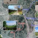 광주광역시교통약자이동지원센터 이미지