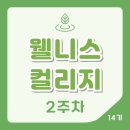 세진환경자원 | 웰니스컬리지 명상 프로그램 후기