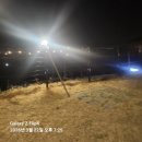 애견친구 | 거제스페이스펜션 애견동반펜션 친구들이랑 거제애견동반펜션에서 힐링 제대로 하고 온 후기🐶