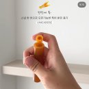 아코시스템 | 5살 2살 면역력 영양제의 에르메스, &lt;아코로얄&gt; 로얄젤리 + 구미 내돈내산후기