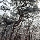 봉양마을회관 이미지