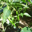 국현어린이집 이미지