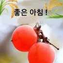 11월10일 고발뉴스 이미지