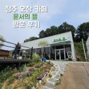 원뜰카페 | [청주] 오창 미래지 카페 '윤서의 뜰' 방문 후기 | 부모님과 가기 좋은 인테리어 맛집 카페