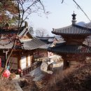 시도 17호선 소나무 | 【 경기 】 北行 … (8) 운악산 현등사 … 2. 현등사 둘러보기