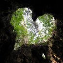 그루터기 이미지