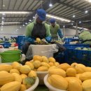 신화교역 이미지