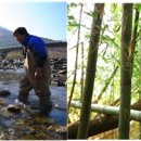 쉬리농장 이미지