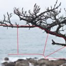 사각사람연구소 이미지