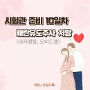 소만약국 | 난임기록 시험관 준비 10일차) 난포주사 처방_ 가니레버 데카펩틸 오비드렐250 질정 그리고 난자채취...