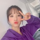 보나 이미지