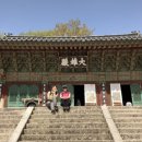 금정사 - 청주시 상당구 상당로 105-2 | 금정사