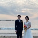 사월애꽃 이미지