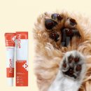 도그스타동물병원 이미지