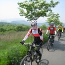 사일온천 이미지