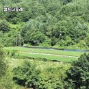 캠프더 포레 이미지