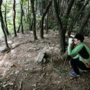 풍수지리(음택, 묘지) 이미지