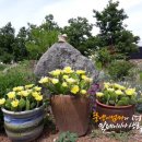 나들이슈퍼 이미지