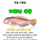 제주오리지널 옥돔 오늘만이가격~2키로 40000 원 무료배송 이미지