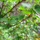 와우농장 이미지