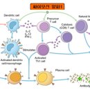 알파마취통증의학과의원 네이버블로그