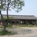 동다솔식당