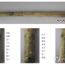 서천여자고등학교 이미지