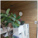 행정사사무소 이상 이미지