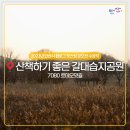 7080 로데오맛길 이미지