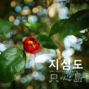 동백나무집민박 이미지