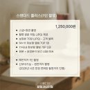 카페십이월 | 본식스냅 계약했어요✨ 스튜디오 팔월과 십이월 웨딩스냅 내돈내산 계약후기