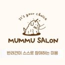 멈무살롱 이미지