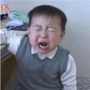 [신논현역] 봉브라더스 /강남 애견카페에서 사랑에 빠진 날