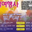화정여행사