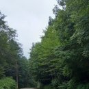 국립삼봉자연휴양림 야영장 이미지