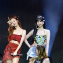 (주)월드 엔터테이먼트 이미지