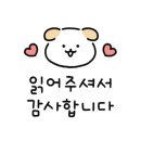 머뭄 애견유치원 이미지