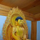 무릉도원면-4 이미지