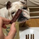 멍멍스푼 이미지