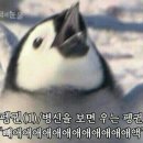 박두박 이미지