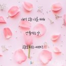오늘도 모란