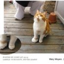 솜방망이 이미지