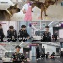 호화농장 이미지