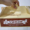 온양온천시장 이벤트광장 | [남문시장맛집]땅콩빵 사러 재방문한 대구 땅콩빵 맛집 "무화광장"