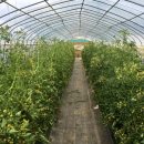 한림농장 이미지