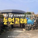 씨유 제주동부관광점 | 제주 감성 독채 숙소 눈먼고래 숙박 후기｜프라이빗한 두 공간이 매력적인 제주 동부 숙소