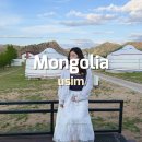 스카이텔 | 몽골 유심 공항 유니텔 데이터 추천과 충전방법 이심 솔직 비교