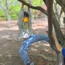 나무와아이들유치원 이미지