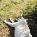 게스트하우스갤러리 이미지