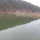 아름답개 이미지